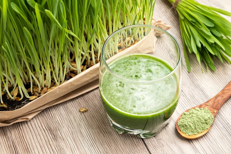 Barley Grass Drink