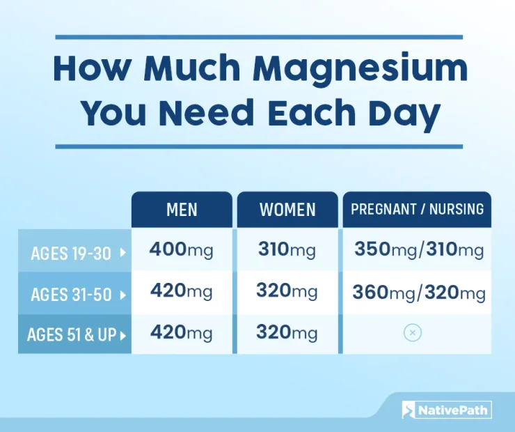 Graphic showing how much magnesium you need each day depending on gender and age.