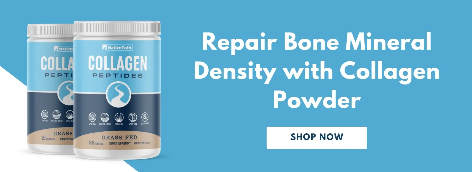 Repair Bone Mineral Density with NativePath Collagen Powder