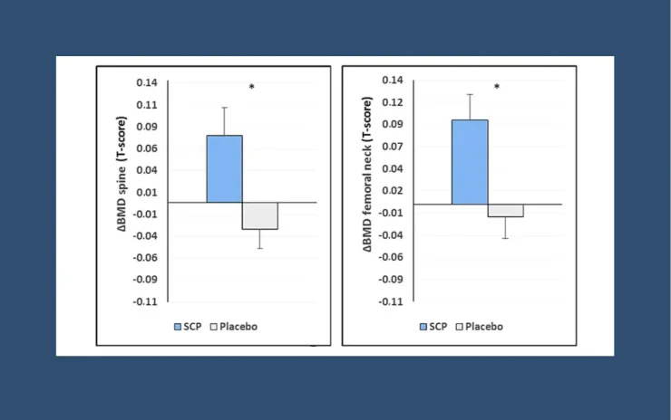 Chart showing the T-score change for the spine and femoral neck in those taking Specific Collagen Peptides or a Placebo.