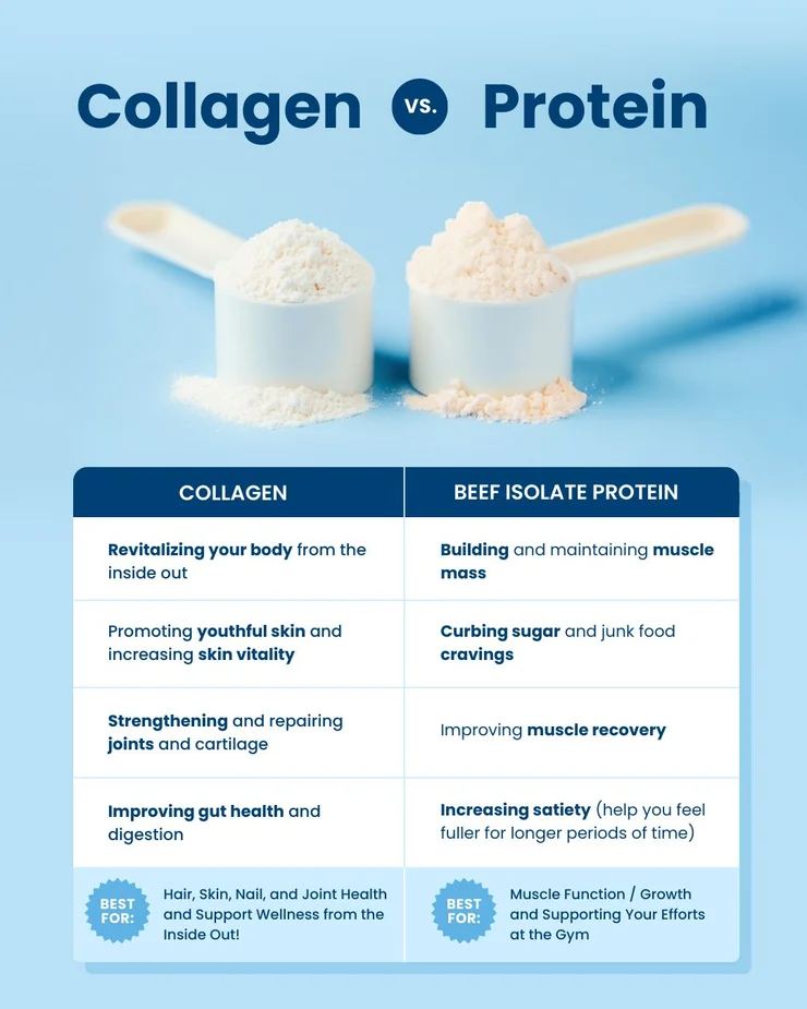 A chart comparing the major benefits of collagen and beef isolate protein