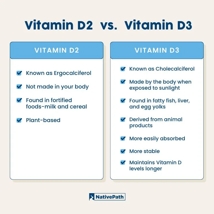 A chart comparing the differences between Vitamin D2 and D3