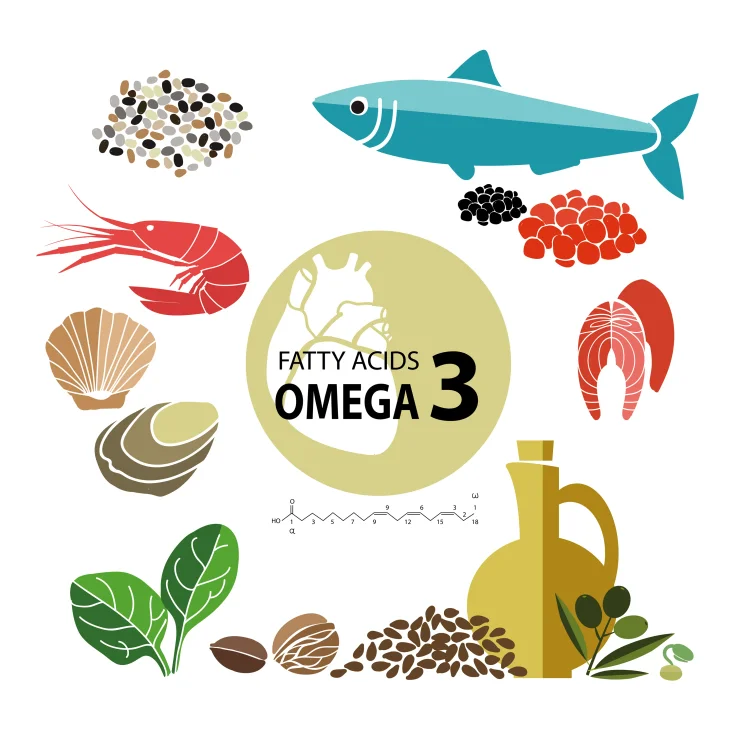 Foods with the highest content of Omega-3. Healthy heart and cardiovascular system. Healthy lifestyle. Balanced diet. Basics of healthy nutrition. Food on a white background.