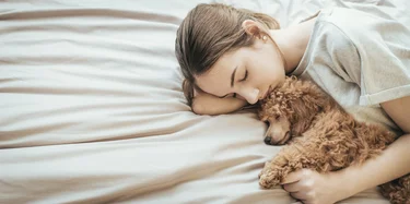 A woman sleeping on white sheets with a little brown poodle