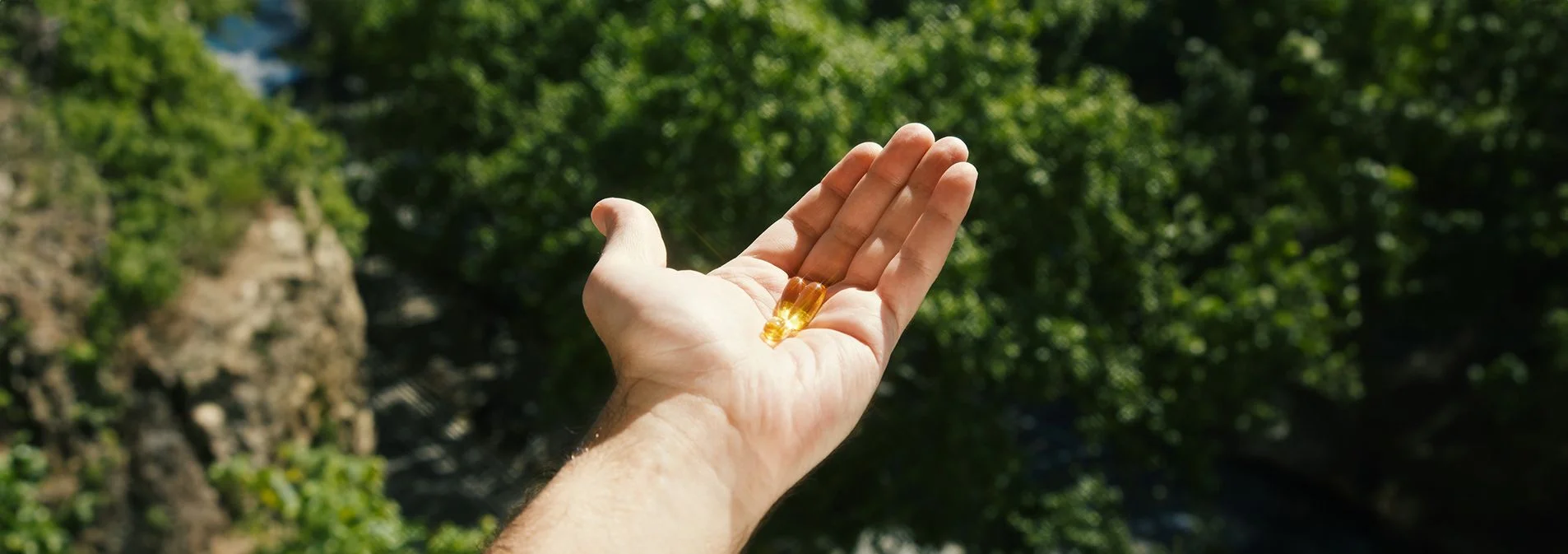 A hand holding two softgel capsules outside with a forest background