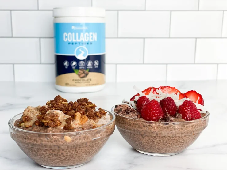 Chocolate Chia Seed Pudding Recipe Collagen Peptides