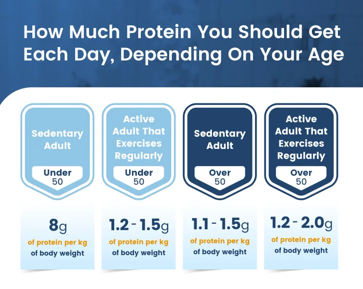 Graphic showing how much protein one needs per day, depending on their age.