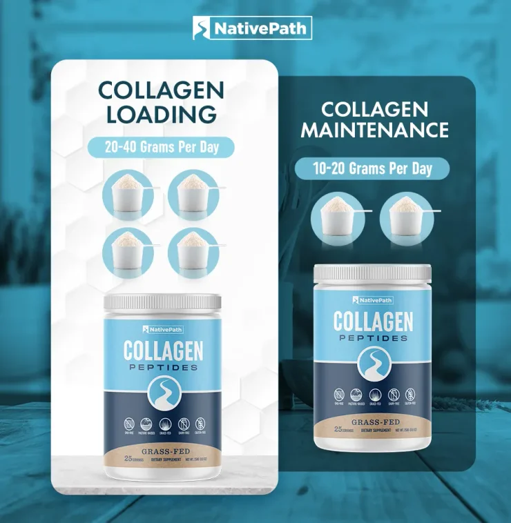 NativePath infographic showing the difference between collagen loading and collagen maintenance