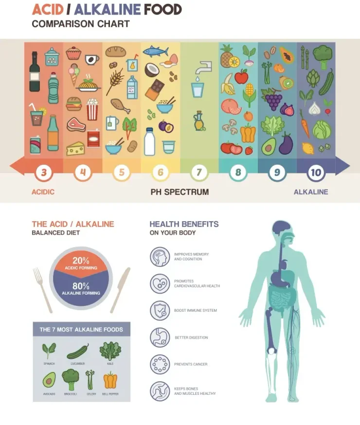 Alkaline Diet Food Chart