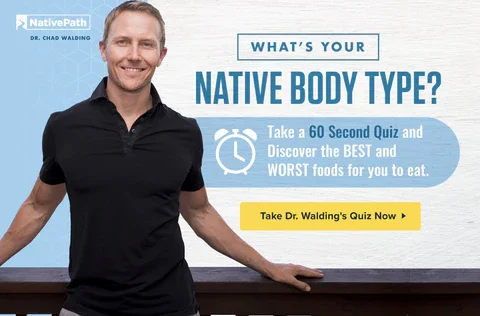 Native Body Type Dr Walding Quiz