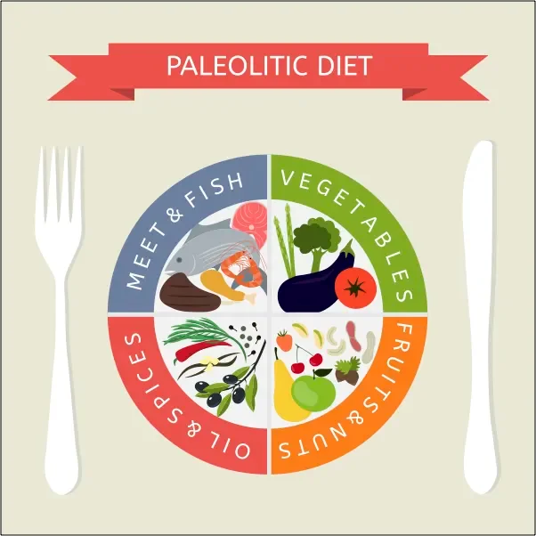 Paleo diet menu infographics. Healthy food and dieting concept.