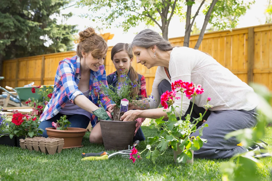 A grandmother, mother, and daughter outside in the garden working together to plant some flowers