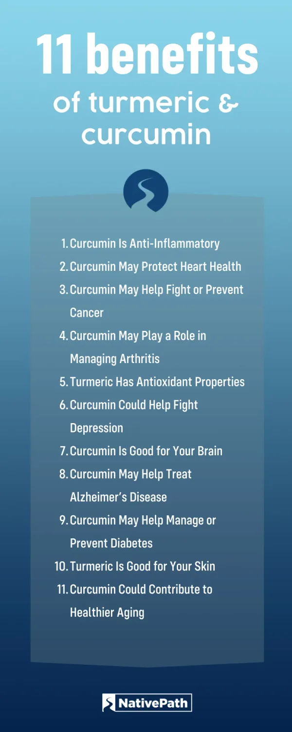 Infographic Showing the 11 Benefits of Turmeric and Curcumin