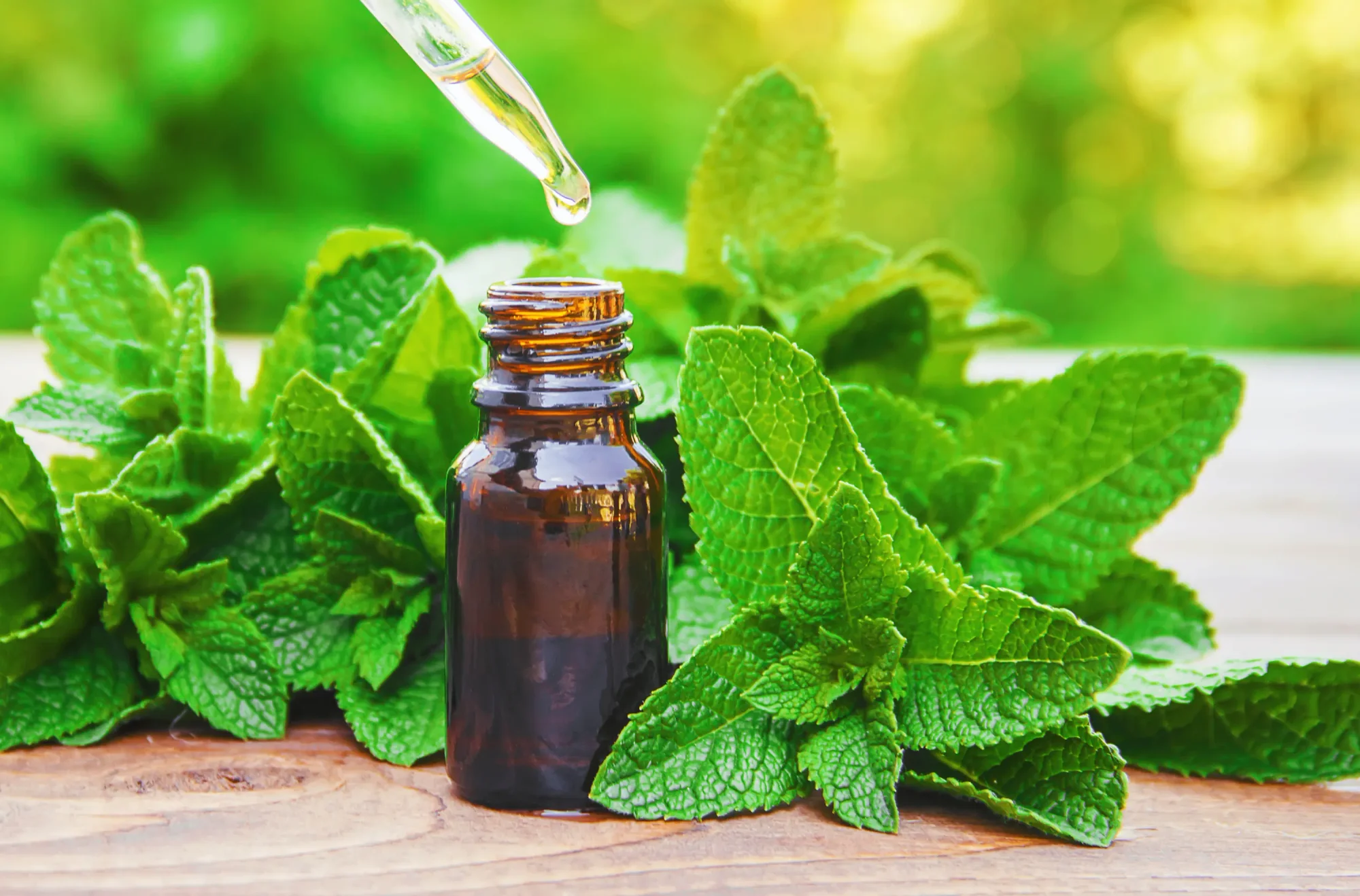 Tincture of peppermint essential oil surrounded by fresh peppermint leaves.
