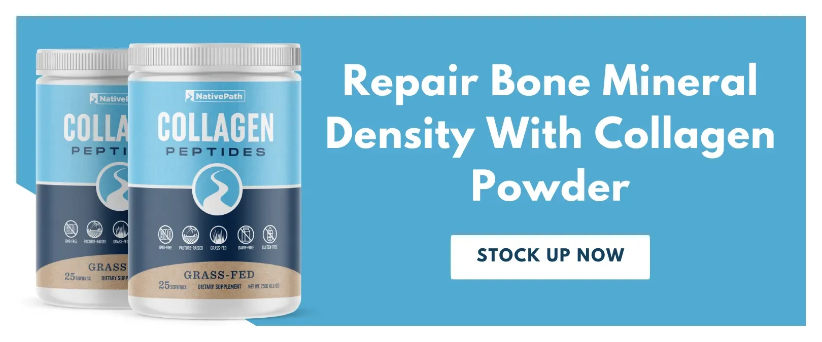 Repair Bone Mineral Density With Collagen Powder