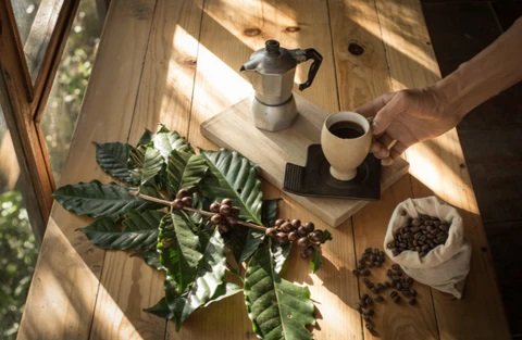 What Makes Coffee Organic?