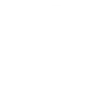 Sugar Free
