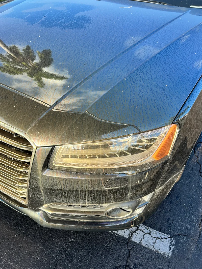 Dusty black car hood before washing