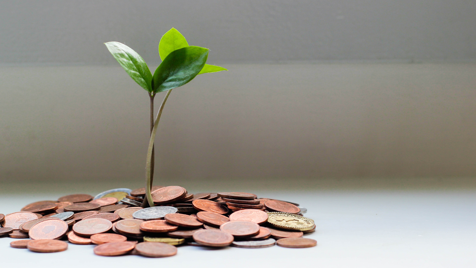 How Technology Fuels Growth in Contracting_image