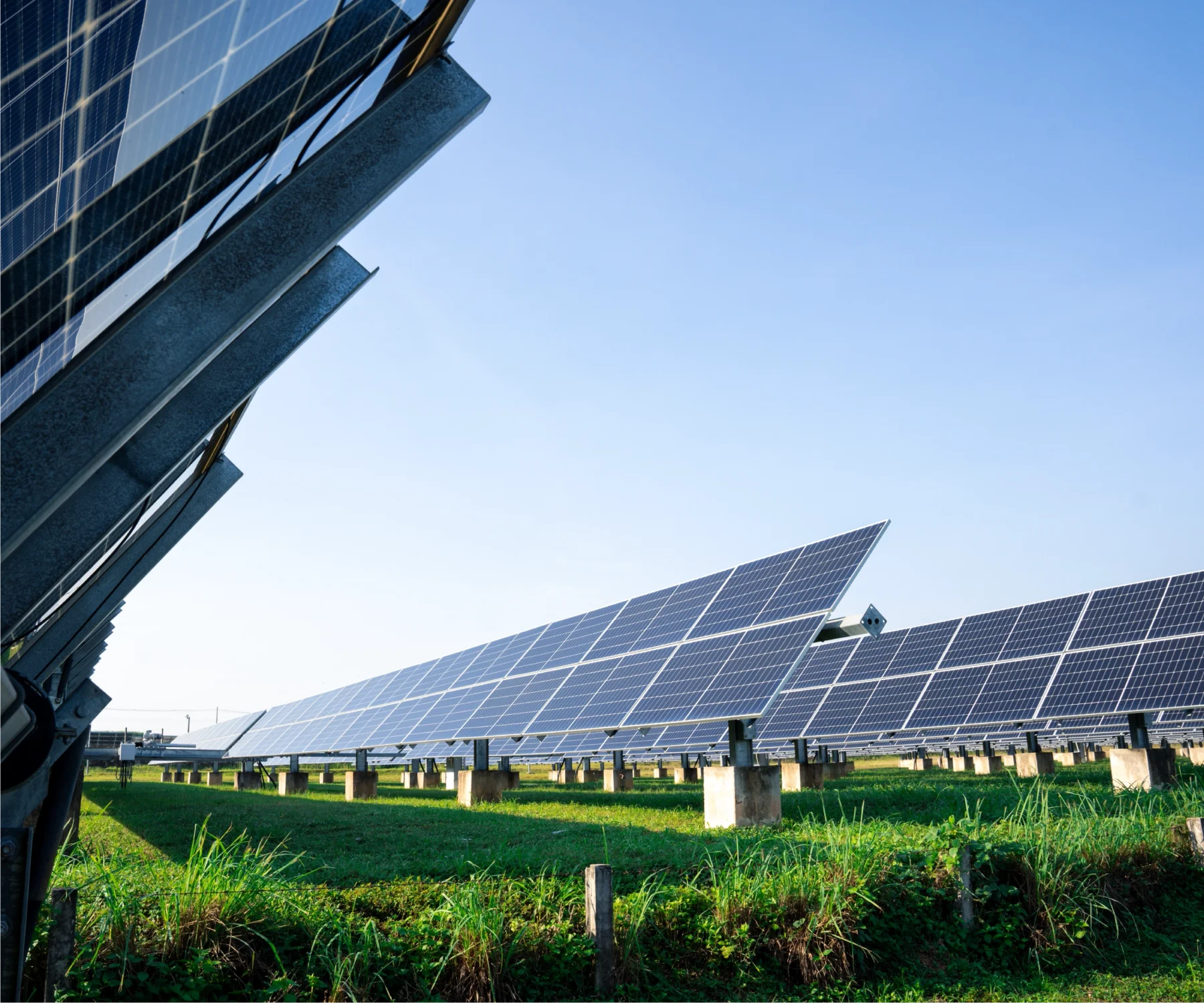 800V AC MCCB - Powering the Next Era of Solar Infrastructure