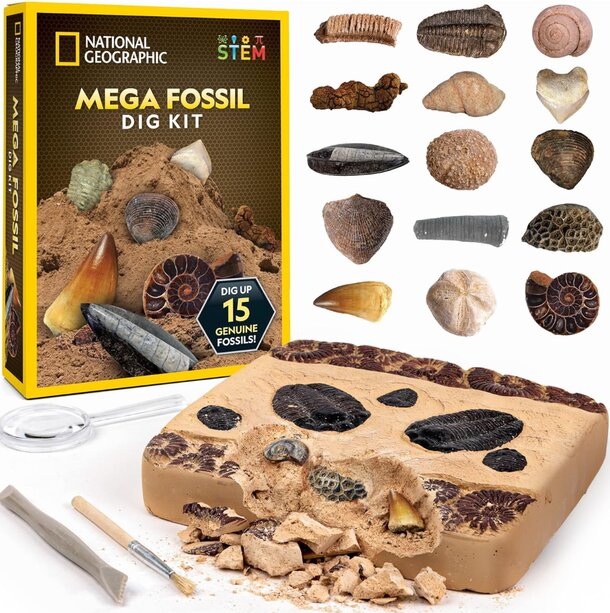 National Geographic Mega Fossil Dig Kit