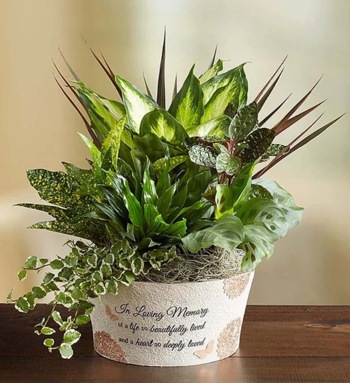 A vibrant arrangement of various plants and greenery displayed in a sleek white pot.