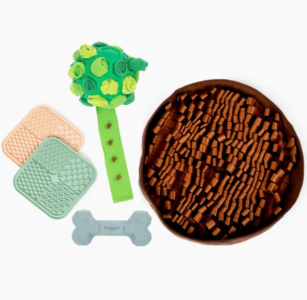 Enrichment Kits For Dog