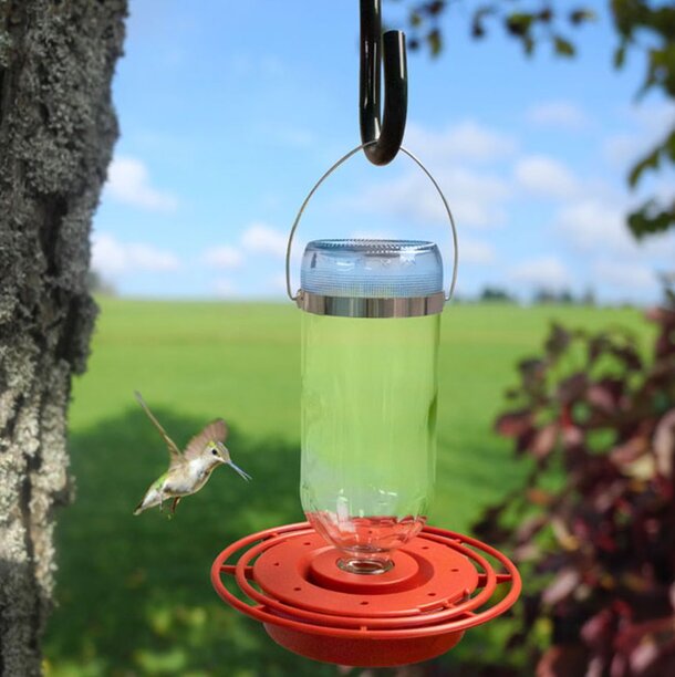 Hummingbird Feeder