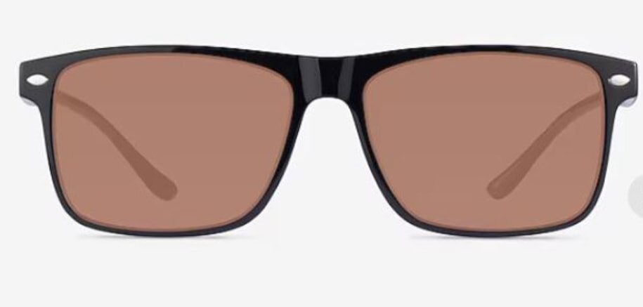 Black sunglasses with brown lenses