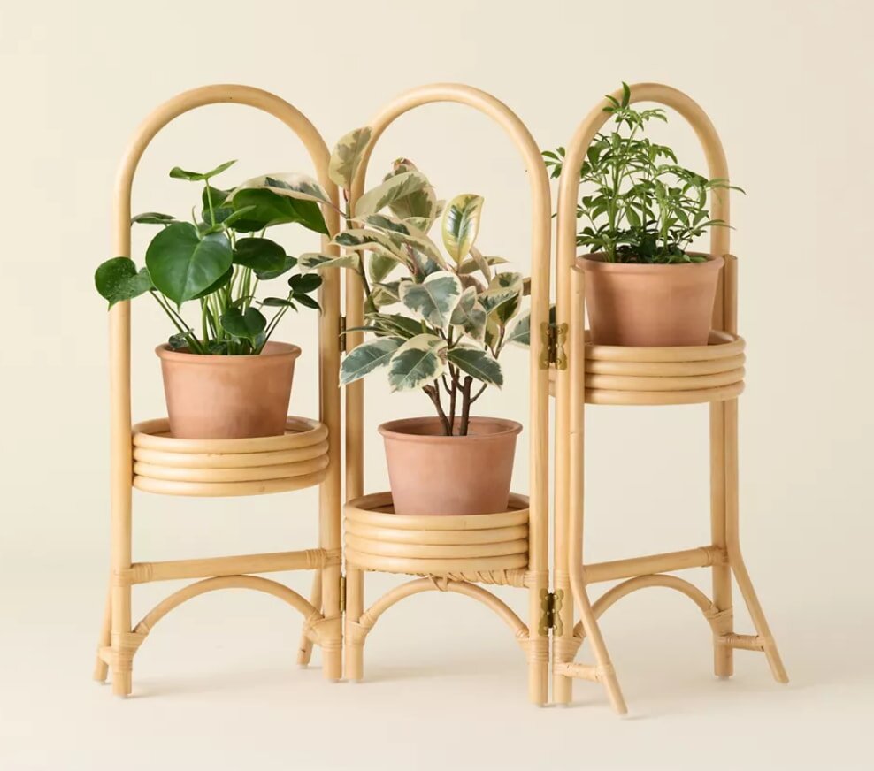 Three bamboo planters filled with various green plants arranged on a wooden surface.