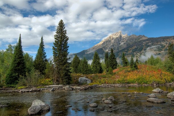 A serene river flows through a lush forest, with majestic mountains rising in the background under a clear blue sky.