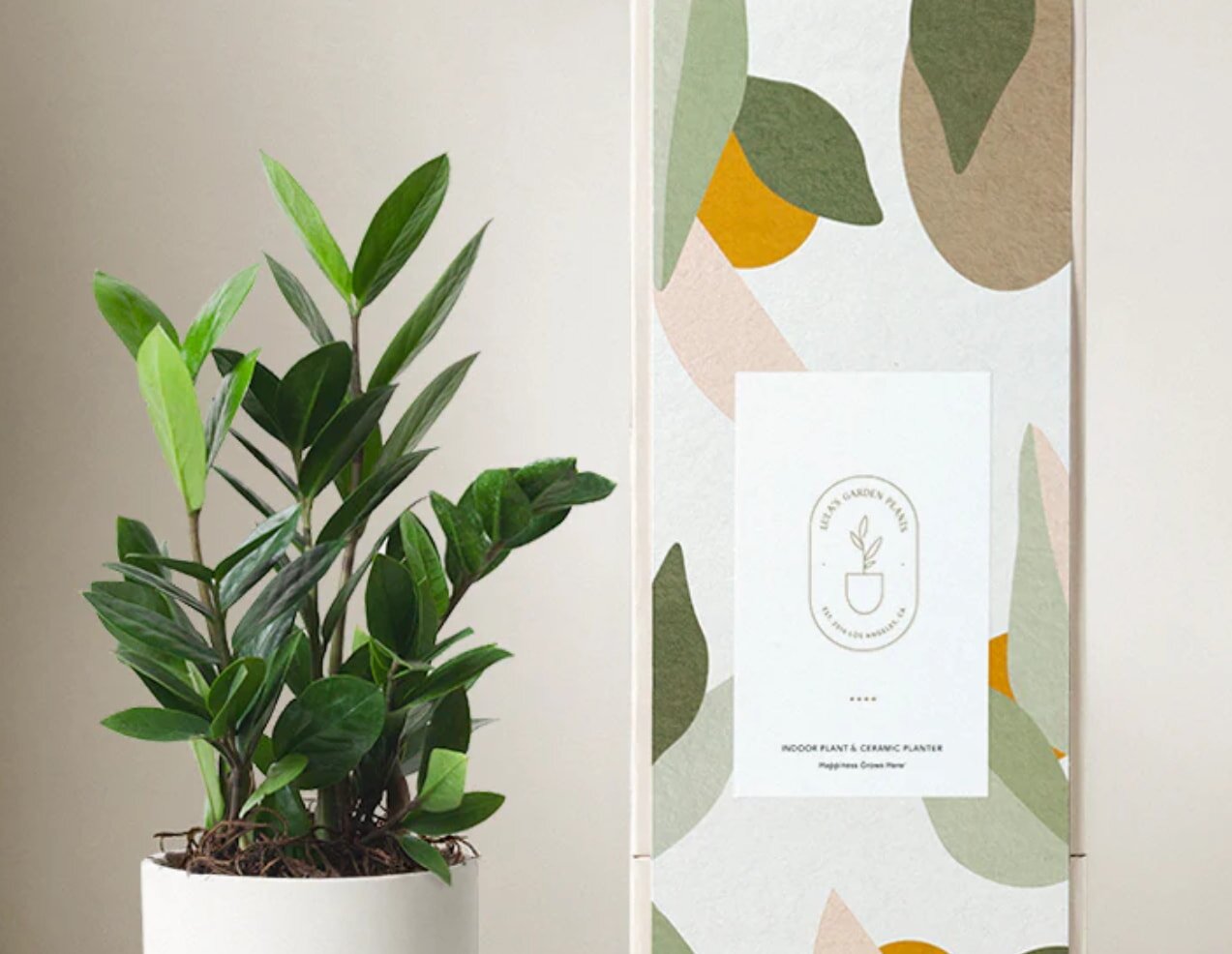 A green plant in a white pot positioned beside a cardboard box on a flat surface.