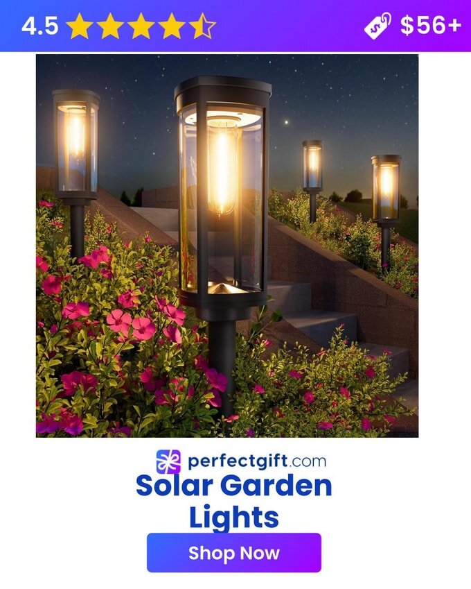 Solar garden lights illuminate flower-lined steps at night. 