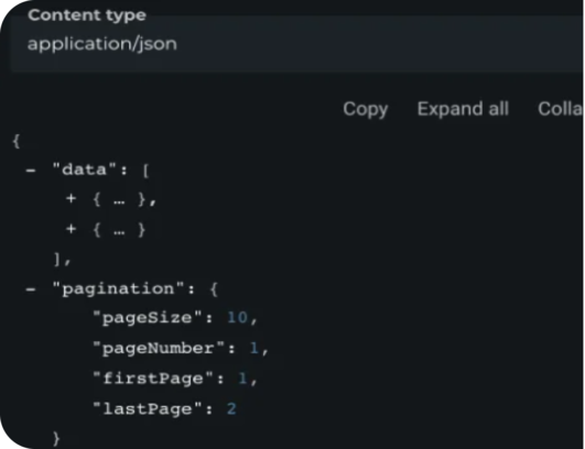 Screen with JSON code and pagination properties.