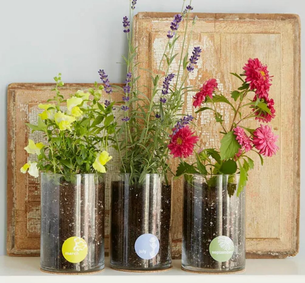 Three decorative vases filled with colorful flowers arranged neatly on a wooden shelf.