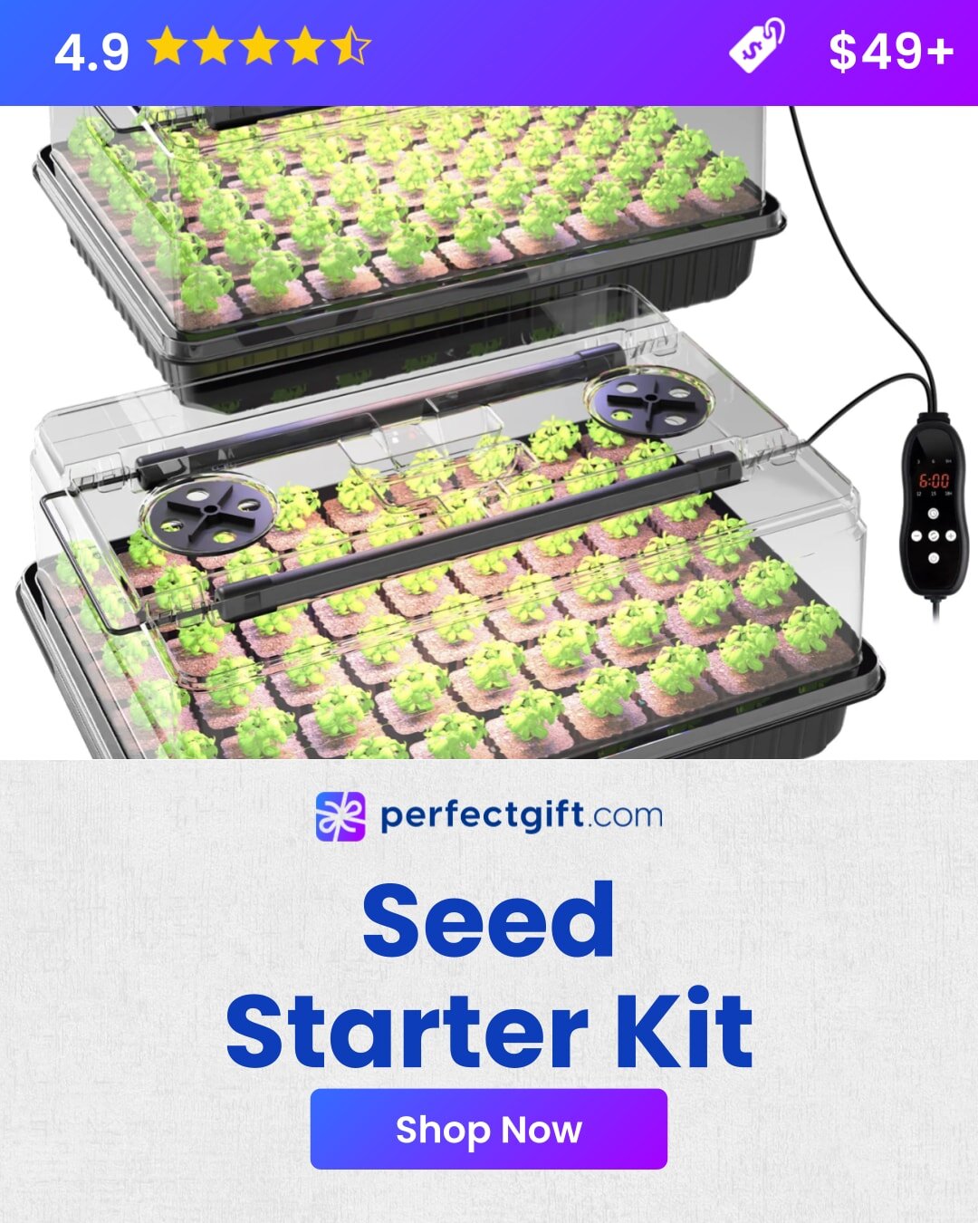 A vibrant gift set featuring essential gardening tools and accessories, perfect for nurturing a green thumb.