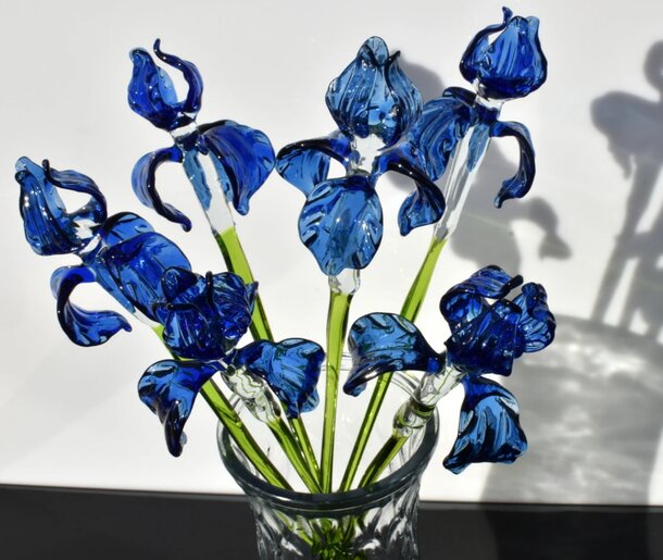 A clear glass vase filled with vibrant blue irises, showcasing their delicate petals and lush green stems.