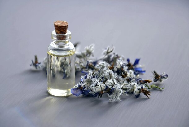 A small glass bottle of lavender essential oil with a purple label, surrounded by fresh lavender sprigs.