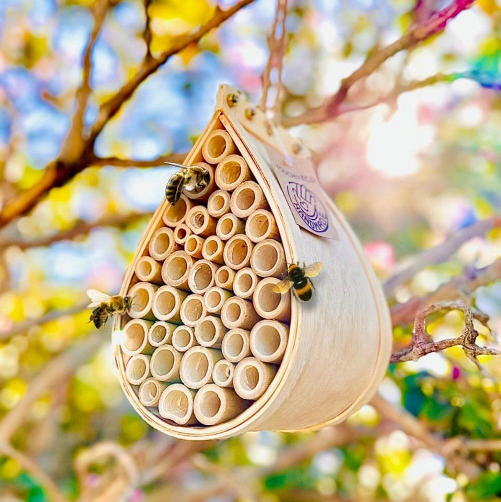 A bee house suspended from a tree branch, designed to provide shelter for solitary bees.