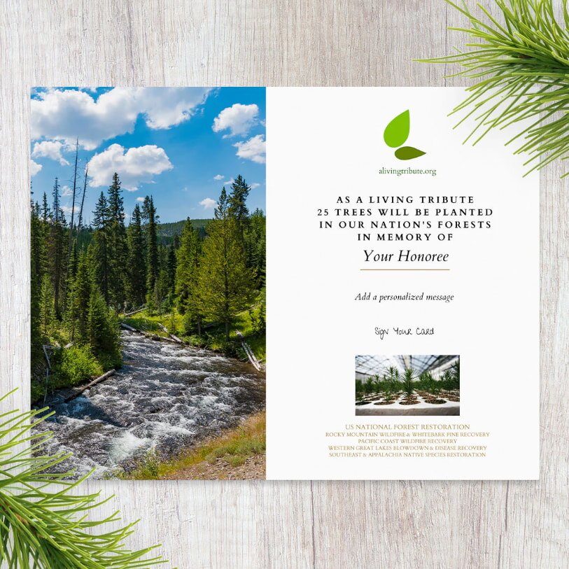 A serene river flows through a lush, vibrant forest, showcasing the beauty of nature in harmony.