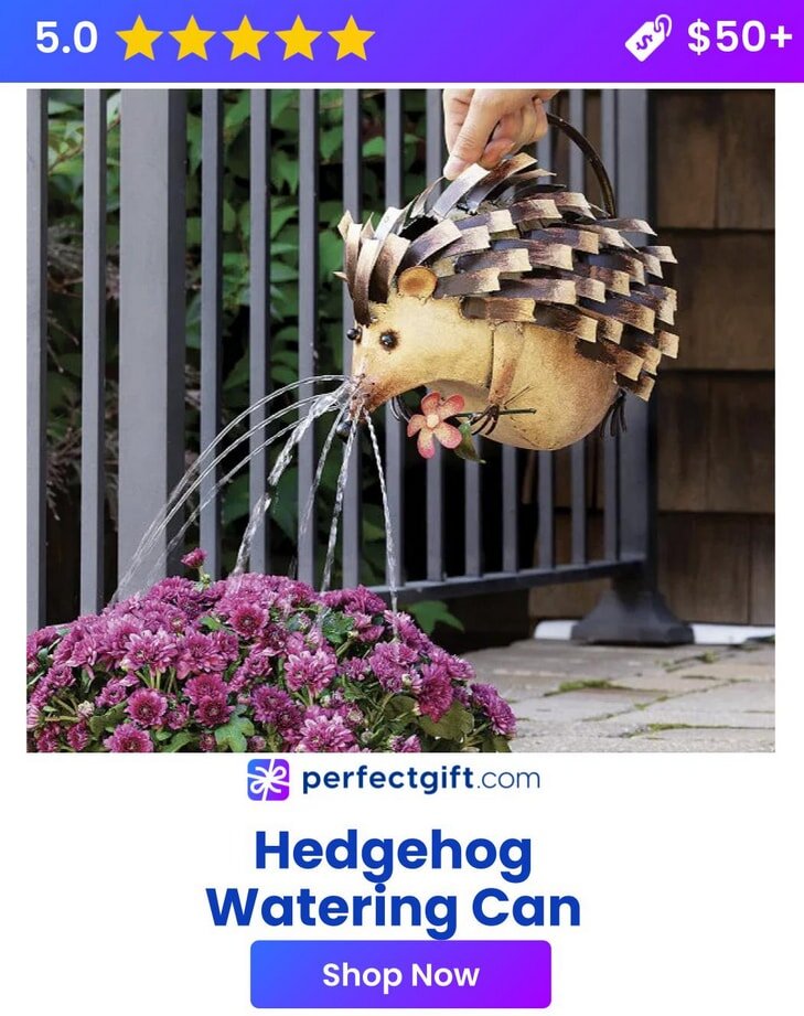Hedgehog-shaped watering can pours water onto purple flowers, rated 5 stars. Available at perfectgift.com for $50+.