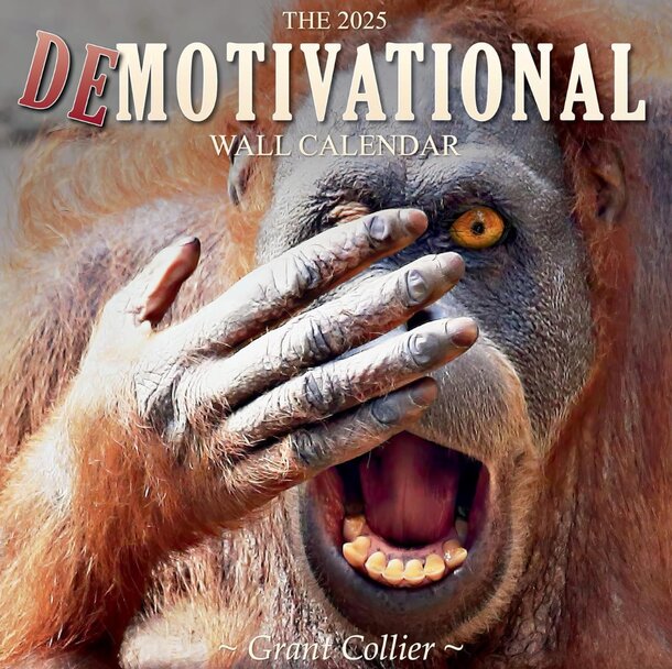 2015 De-motivational wall calendar featuring an orangutan in a vibrant, inspiring design.