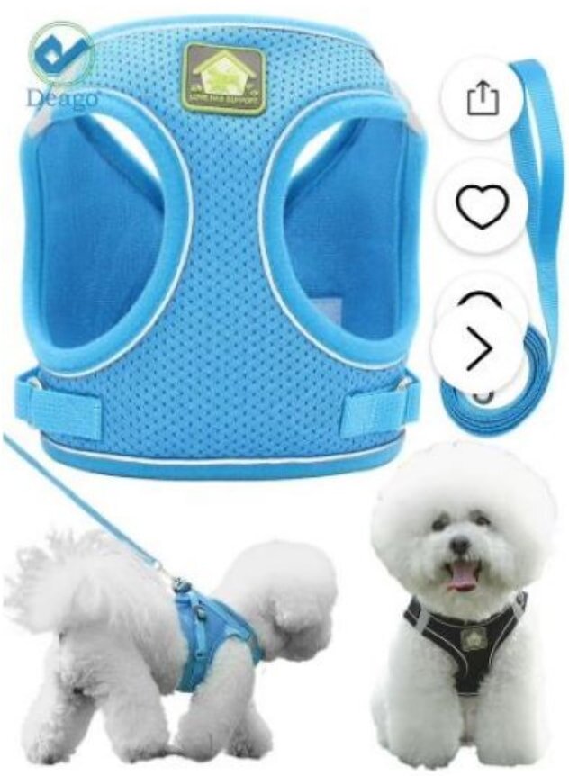 Blue dog harness with breathable fabric, depicted with a fluffy white dog wearing it. The harness is also shown off-leash. The mood is bright and playful.