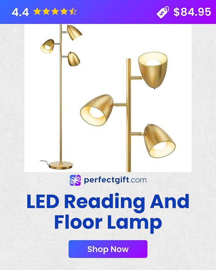 LED Reading And Floor Lamp So He Can Read His Favorite Books