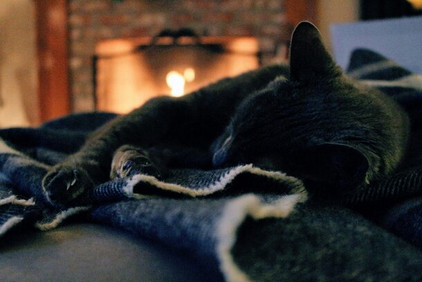 A fluffy cat peacefully sleeping on a soft, colorful blanket.