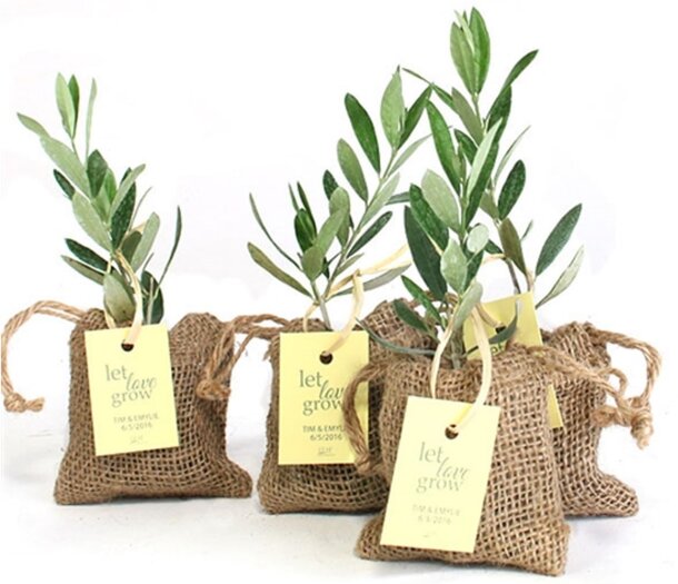 Five small plants in burlap sacks with green leaves, each tagged with "Let love grow" and a date. Rustic and calming presentation.