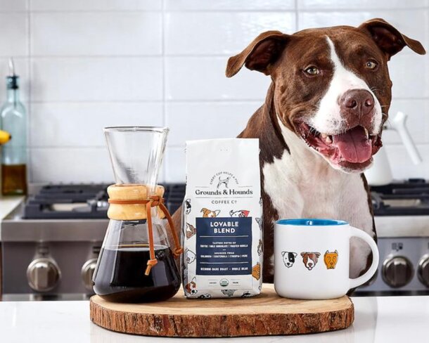 A dog sits on a kitchen counter beside a coffee maker and a mug, looking curiously at its surroundings.