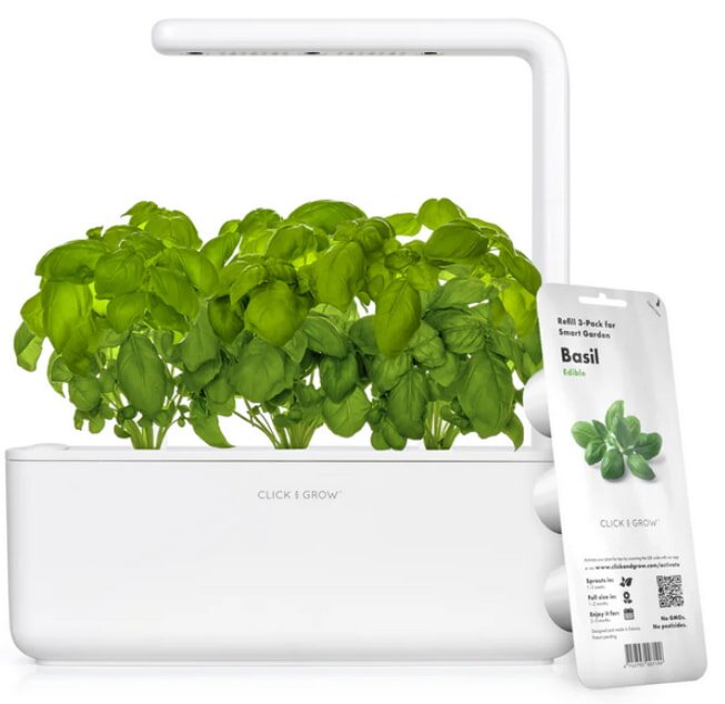 A basil plant in a white box, accompanied by a white label, showcasing its fresh green leaves.