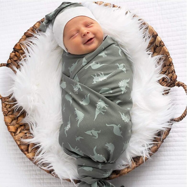 Newborn baby in dinosaur print swaddle and hat in wicker basket