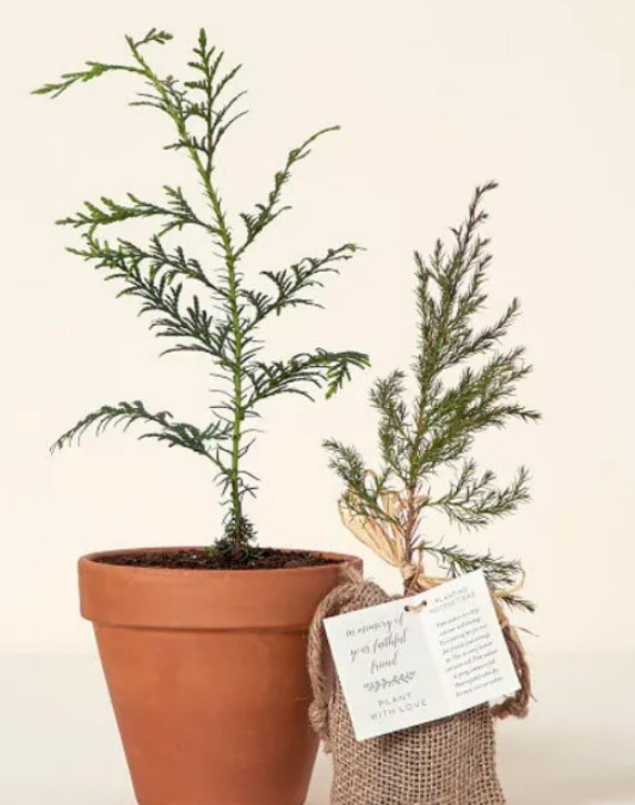 A heart-shaped wire basket contains a blue-themed bath gift set labeled "Ocean Wave." Items include shower gel, bubble bath, lotion, and bath bombs. The basket is adorned with colorful beads and an orange ribbon, conveying a fresh, soothing vibe.